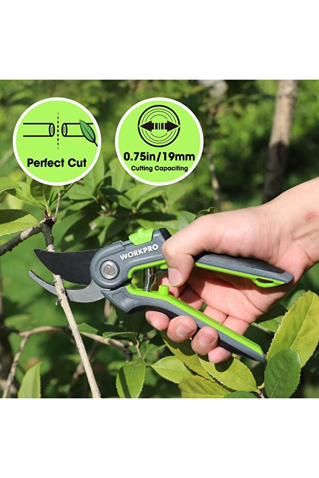 مقص تقليم - 4