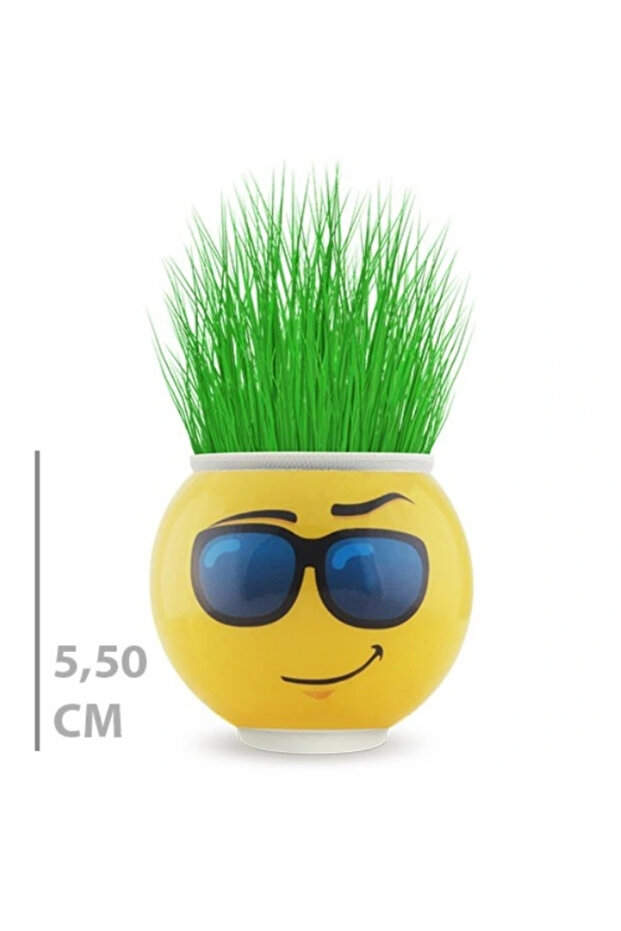 Grass Man Flower Pot with Emoji Figure 1 Piece