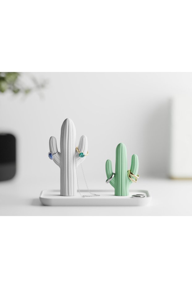Modern Rectangular Cactus Jewelry Organizer and Jewelry Box