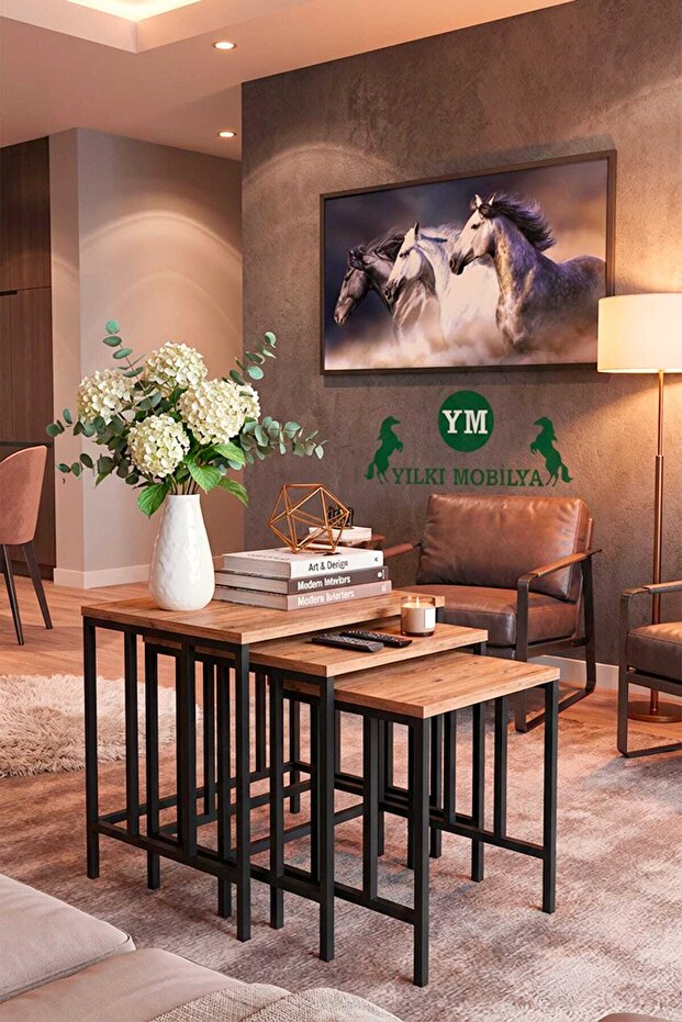 JAN 3'LÜ ZİGON SEHPA - 2