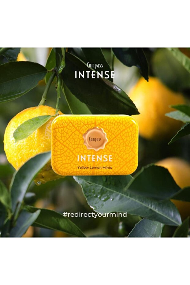 Intense Lemon Mints - 2