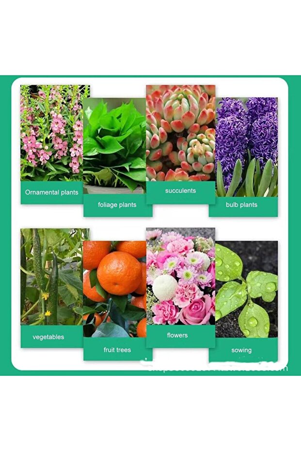 Multi-Purpose Fertilizer - 2