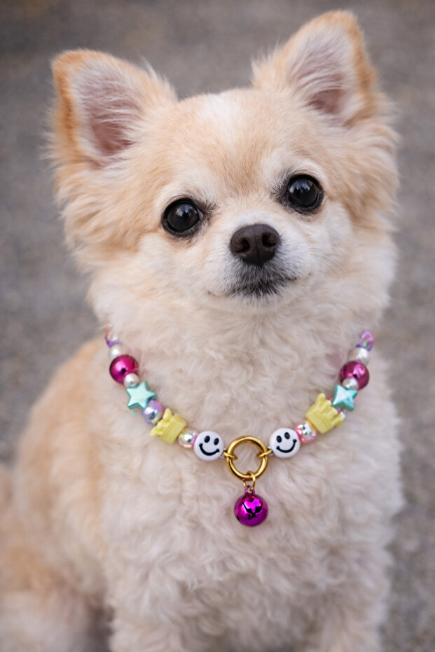 Dog Collar with Bell Pet Necklace Accessory for Small and Medium Breeds