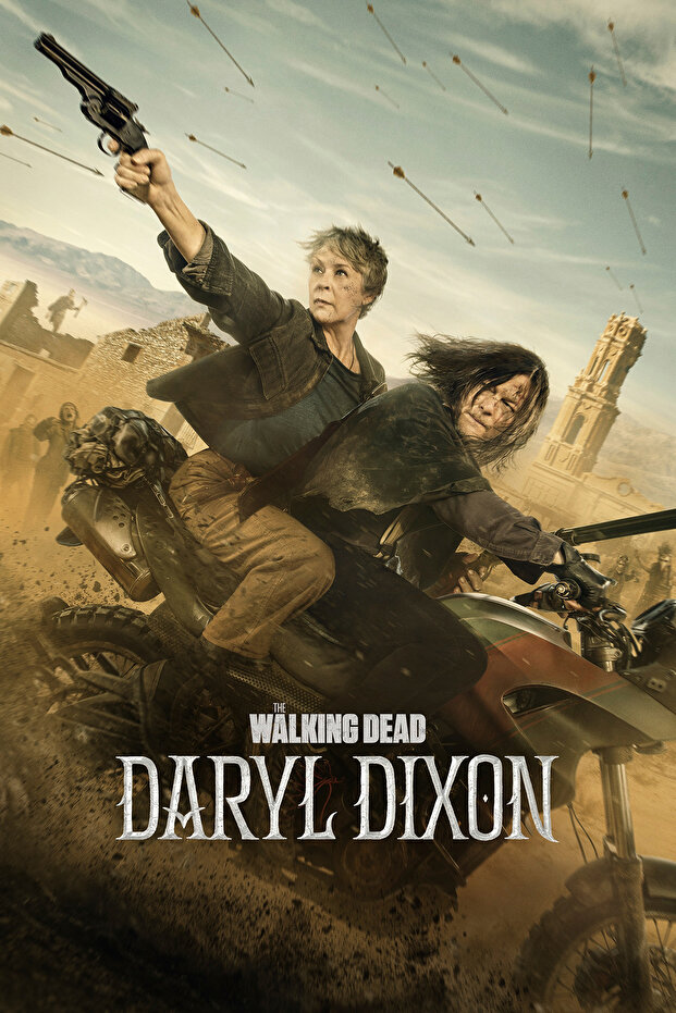 The Walking Dead Daryl Dixon Modern Panel Tablo Poster - 2