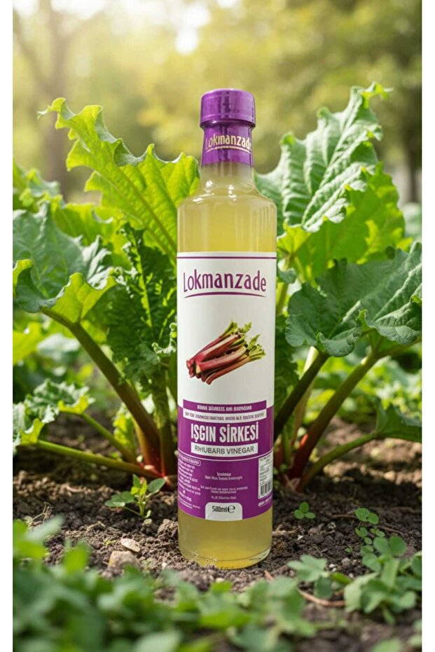 IŞGIN SİRKESİ 500 ML - 1