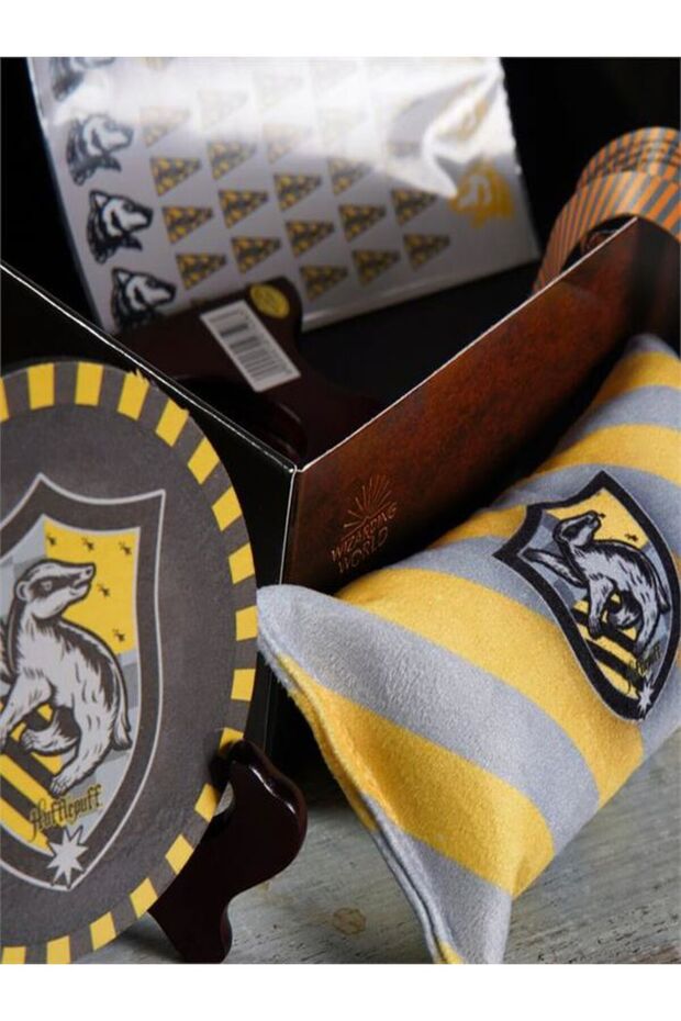 Wizarding World Hufflepuff Box - 4
