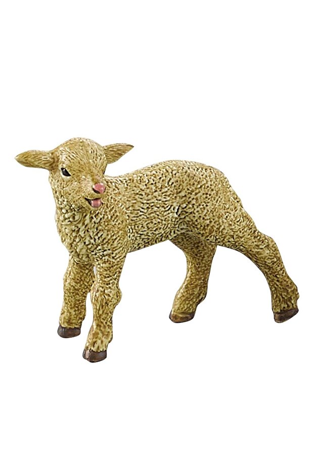 Pui Animale de Ferma - 2