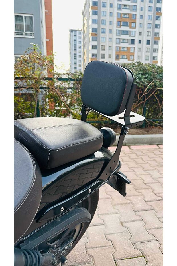 Nevada Sissy Bar - 1