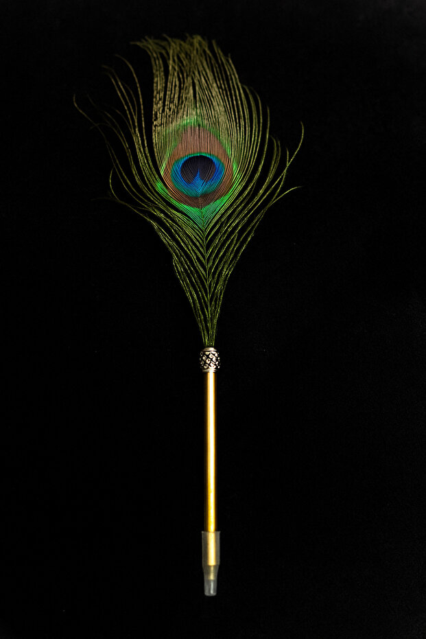 Peacock Feather Pen - 1
