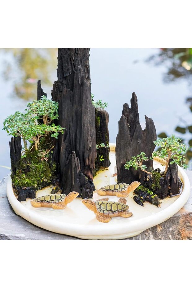 سلحفاة المحاكاة المصغرة - 2