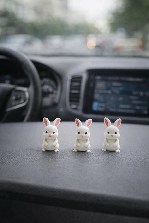 -MİNİ POFUDUKLAR - 5