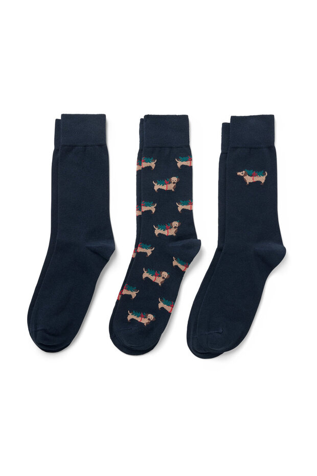 Erkek Çorap, 3lü, Köpek - 2