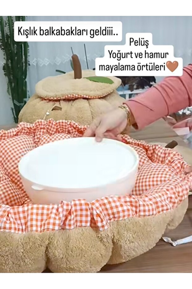 Yoğurt mayalanma minderi - 4