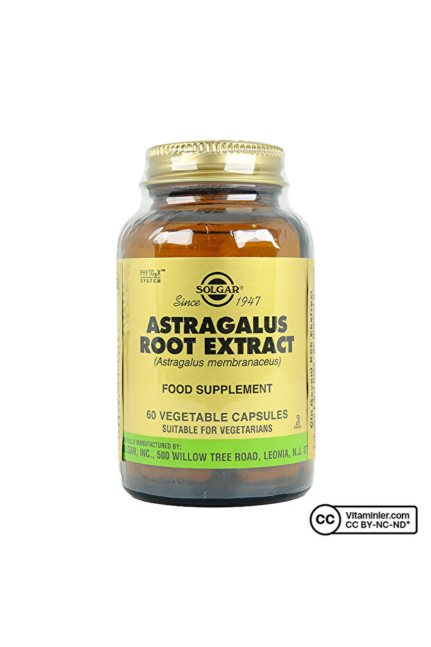 Astragalus Root Extract 60 Kapsül - 1