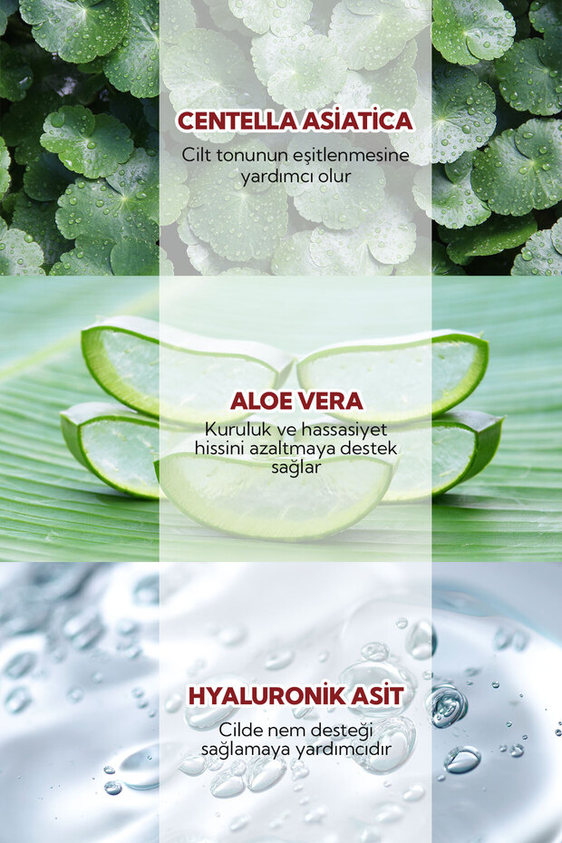 Organik Cicavera Prebiyotik Nemlendirici Krem 50 ml - 3