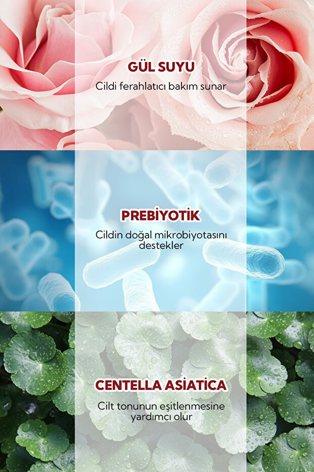 Rose Beauty Elixir Gül Güzellik İksiri 100 ml - 3