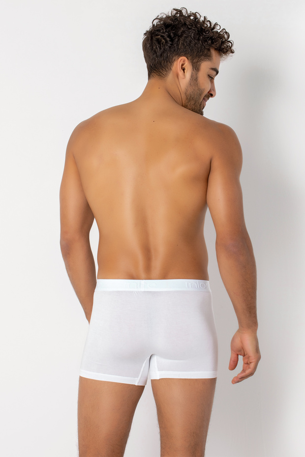 Arthur Cotton Erkek Boxer - 5