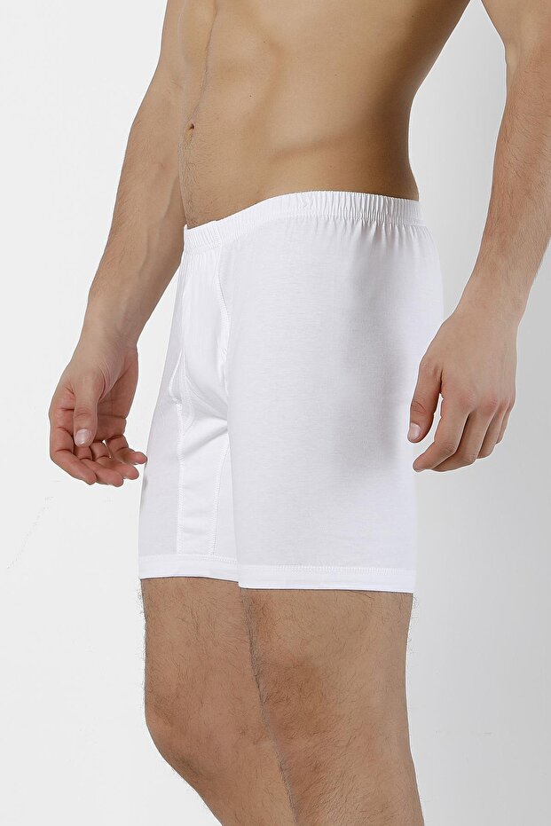 Erkek Arjantin Boxer - 1