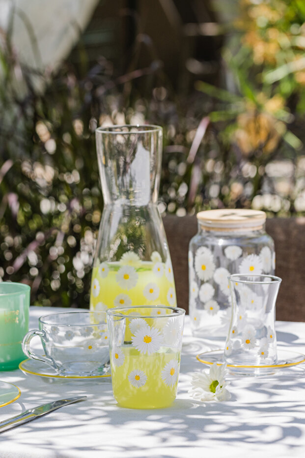 Fiona 4'lü Su Bardağı Seti 315 cc - 5