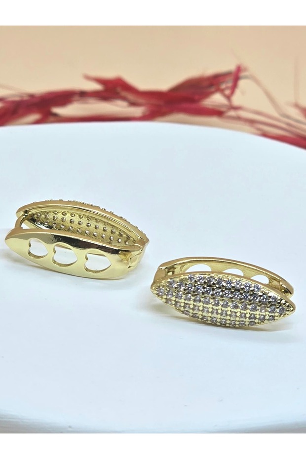 Gold Color Zircon Stone Stylish Earrings