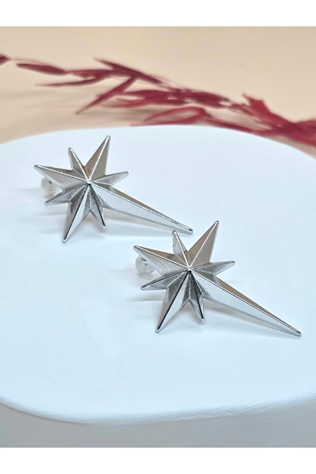 Silver Plated Star Detailed Earrings