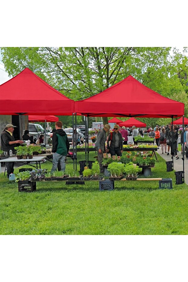 Cort Pavilion 3 x 3 m - 2