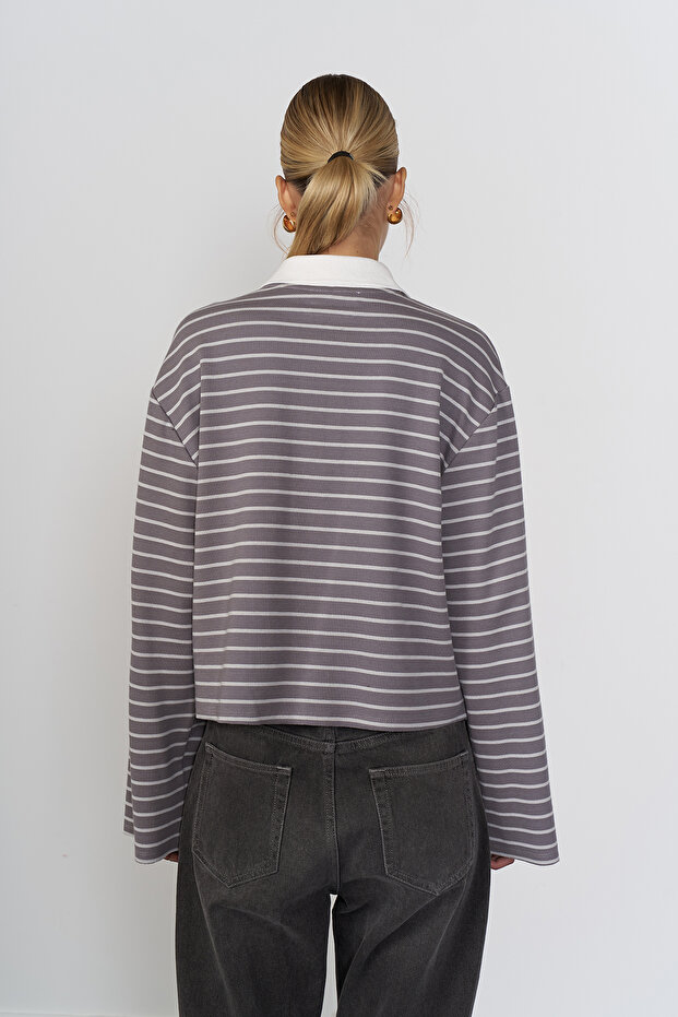 Polo Yaka Çizgili Basic Tshirt - 4