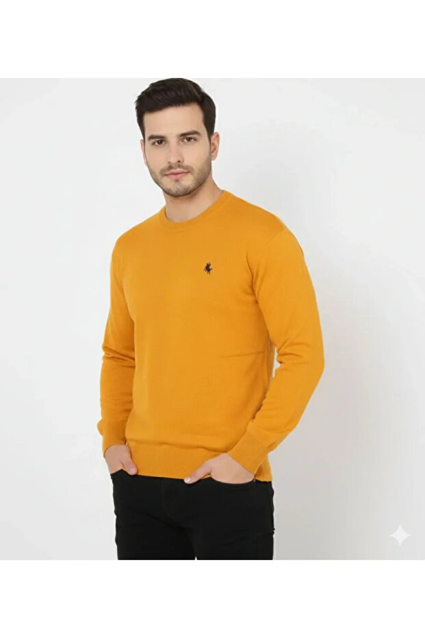 Men's Crew Neck Embroidered Knitwear Sweater Soft Textured Cotton Fine Weaving, Long Sleeve Comfortable
