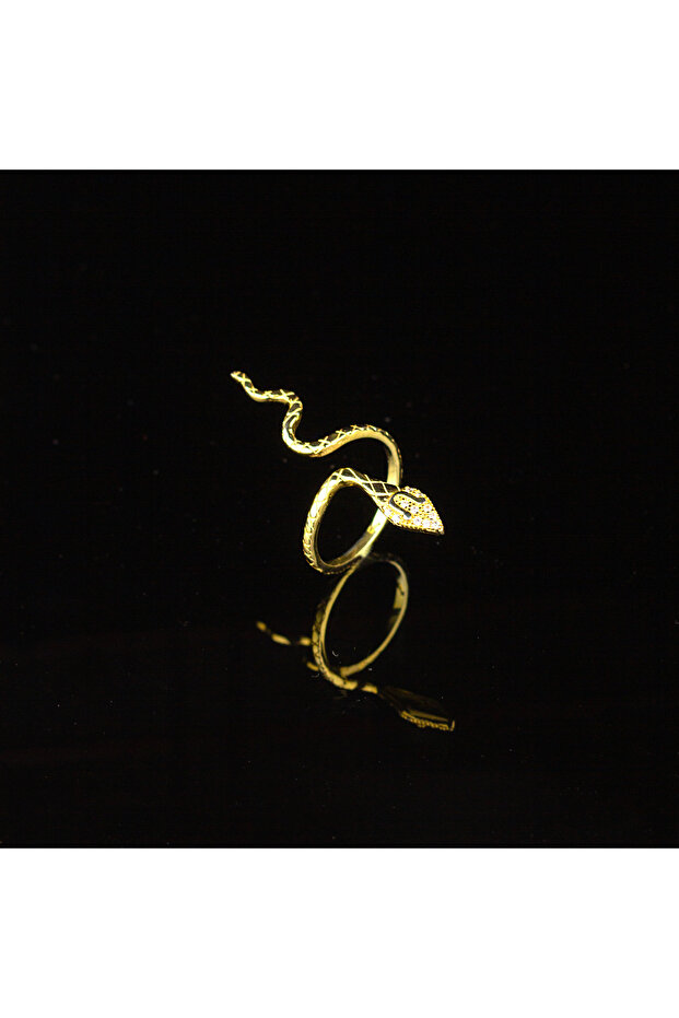 The Gilded Serpent Ring - 1