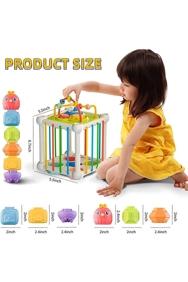 Activity Cube - 7