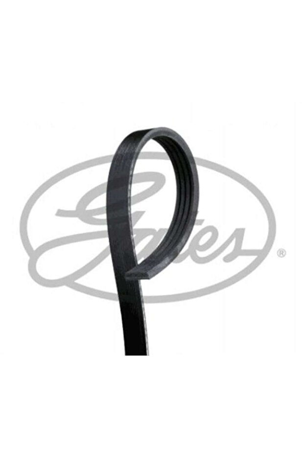 Curea multi-striată 4PK738SF - 2