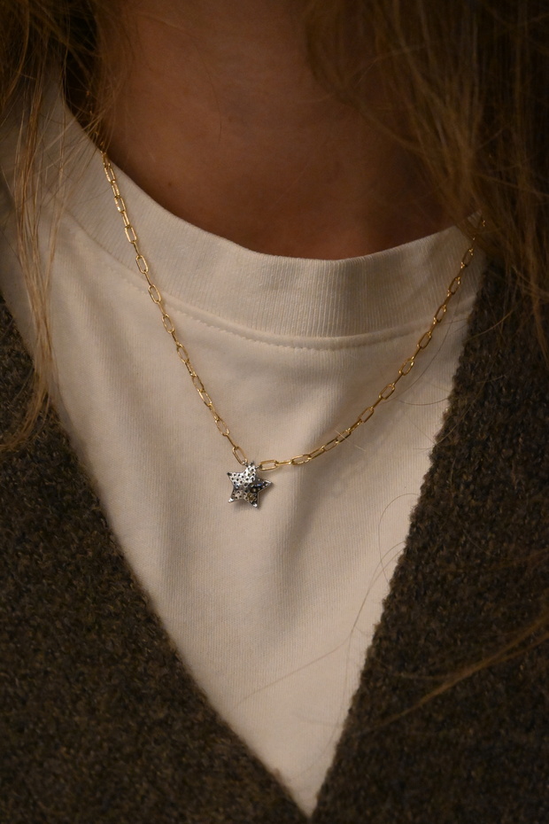 Wish çift renk kolye - 4