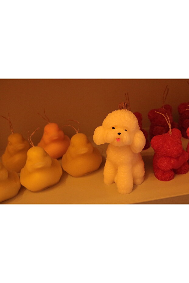 Sevimli Köpek Mum - 4