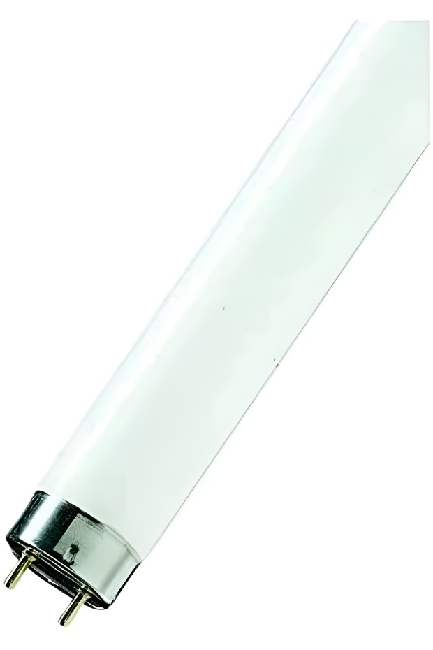 Tube 18 Watts Cool White