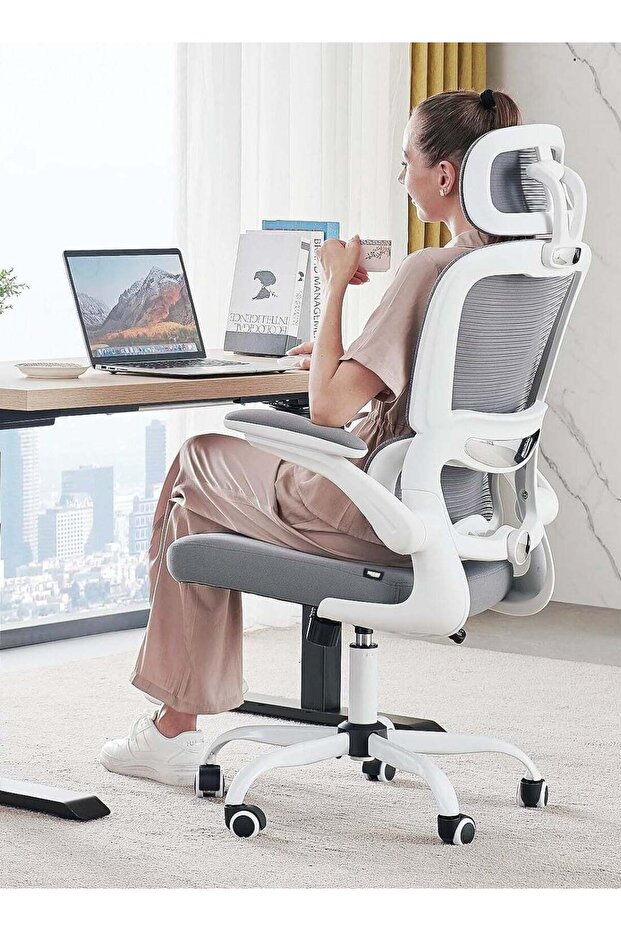 Premium Ergonomic Office Chair, High Back Mesh Chair with Flip-Up Armrest, Recline & Lumbar Support