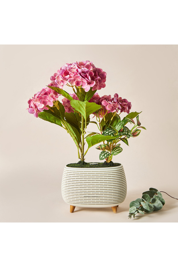 موزع روائح نباتية من هيدريسا - 2