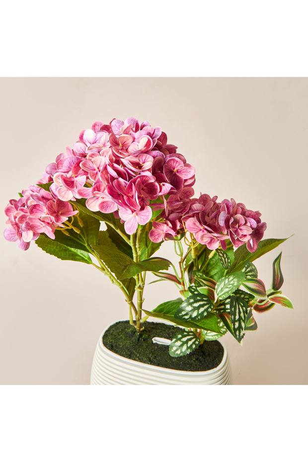 موزع روائح نباتية من هيدريسا - 4