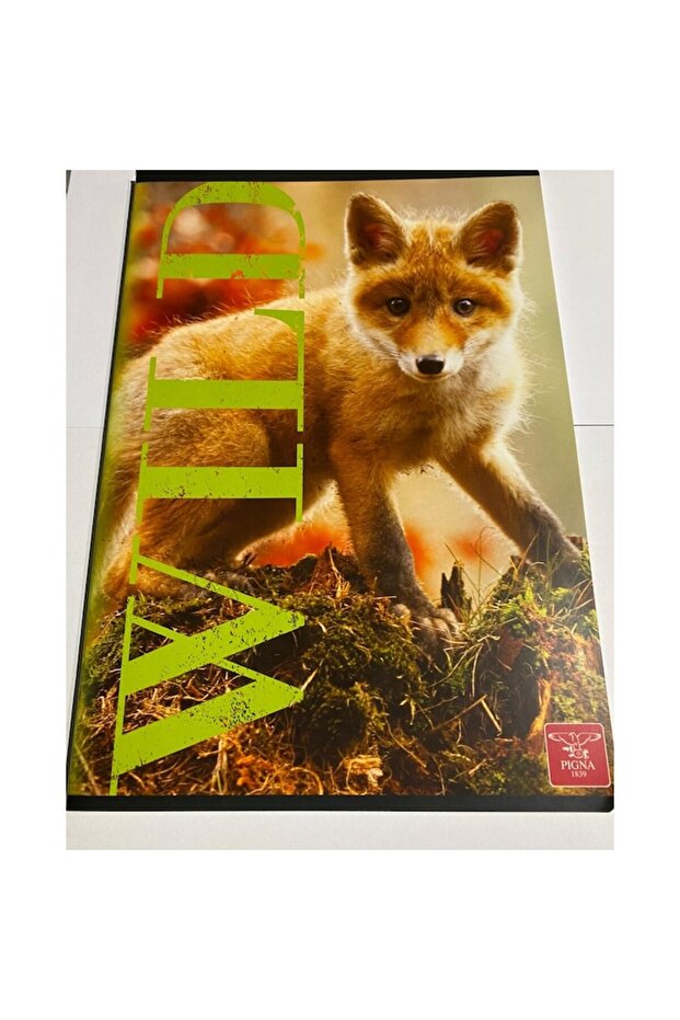 Caiet de matematică A4 pentru elevi, 60 de coli - 2