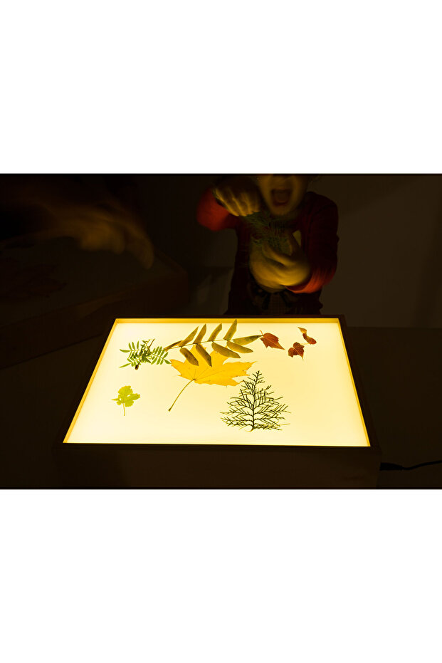 A4 Light Box - 3