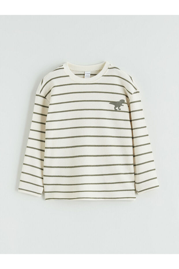 Green Crew Neck Striped Boy's T-Shirt (S6)