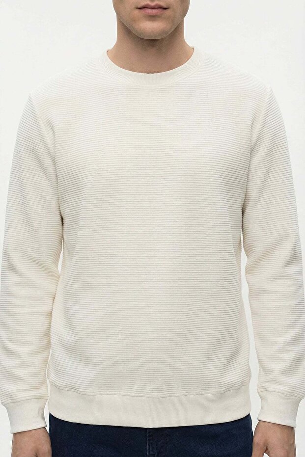 Erkek Basic Sweatshırt - 6