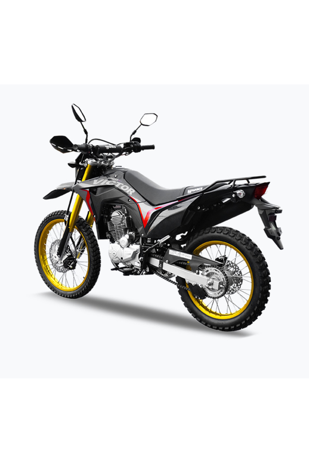 VİCTOR 250CC - 3