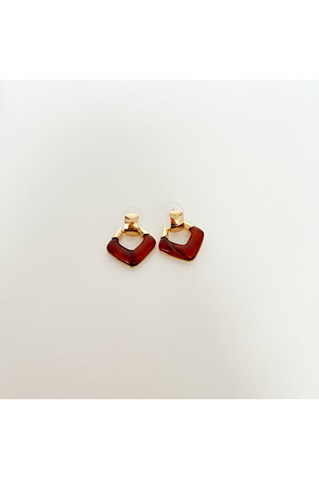 Gulli Brown Steel Earring | Steel Earrings