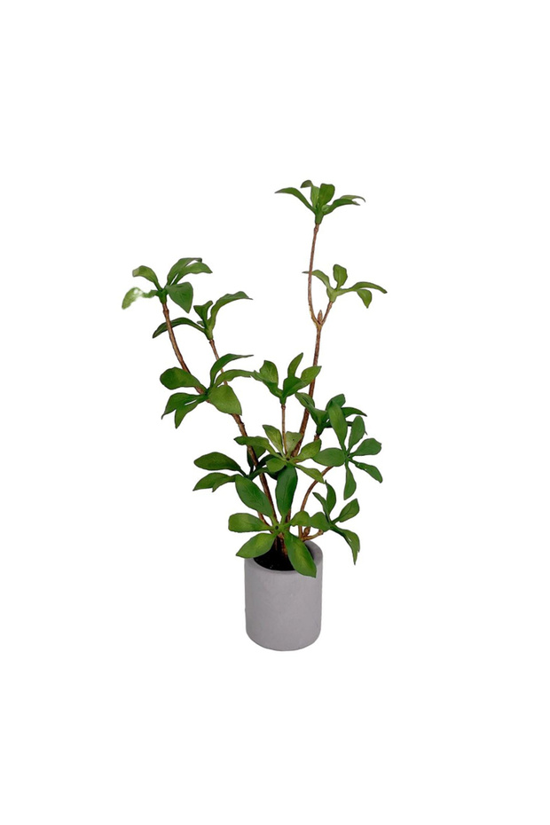 B 1:6 Dollhouse Miniature Potted Plant Green Leafed Plant Pot Bonsai Home Garden Decor Toy Doll Hou.