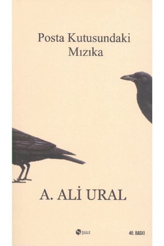 Posta Kutusundaki Mızıka