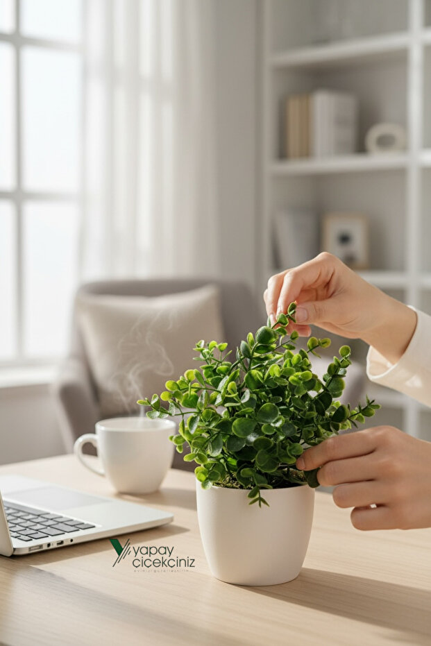 أوكالبتوس صغير صناعي في وعاء أبيض