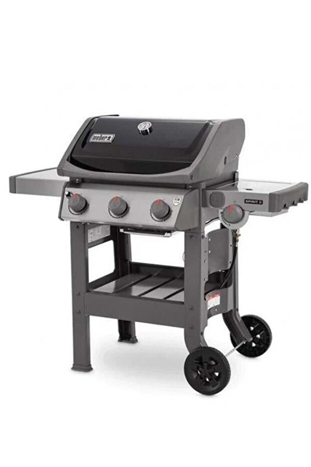 Spırıt Iı E-320 - 45012175 - 4