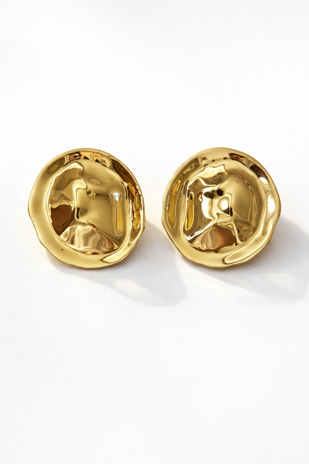 Çelik Lori Küpe - 2