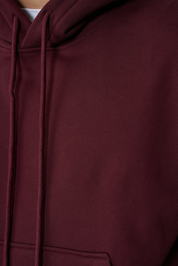 %100 Cotton Kapşonlu Sweatshirt - 3