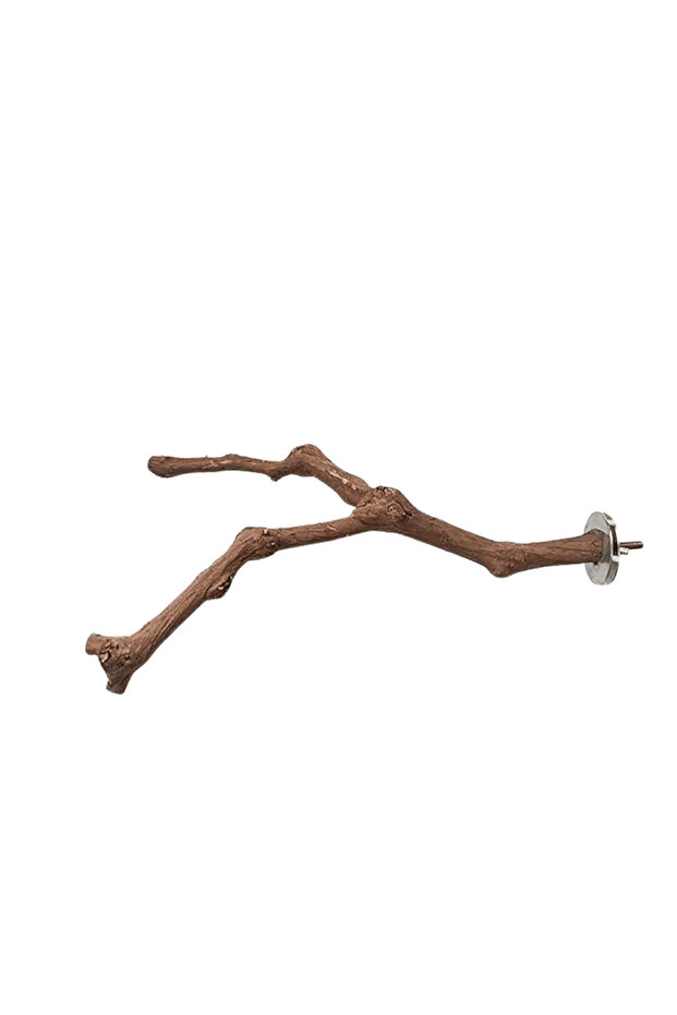 Natural Bird Perch Stand Pole-Bifurcation-23*2 Cm